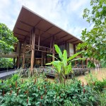 longevity retreat, Phuket, Thailand