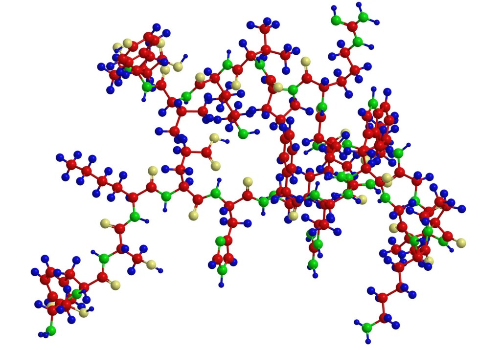 peptides, structure, amino acids, molecule, molecular, science